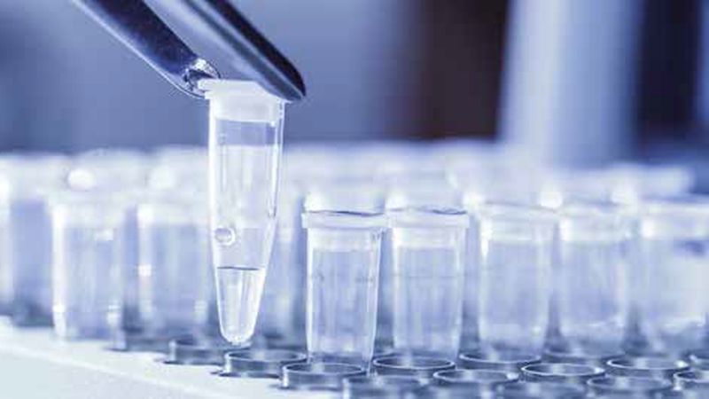 Fast, cost efficient and easy ELISA test for Bisphenol A